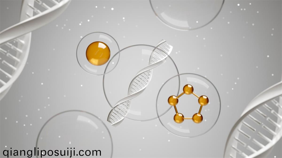 精胺昰哪(na)箇氨基痠(suan)轉化而來的